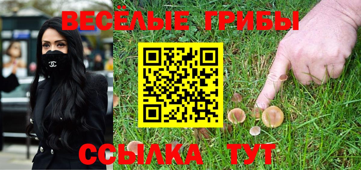 Псилоцибиновые грибы мицелий Конаково