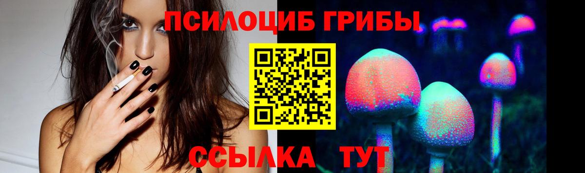 закладки  Псилоцибиновые грибы мицелий  Псилоцибиновые грибы мицелий  Вход с VPN  Конаково 